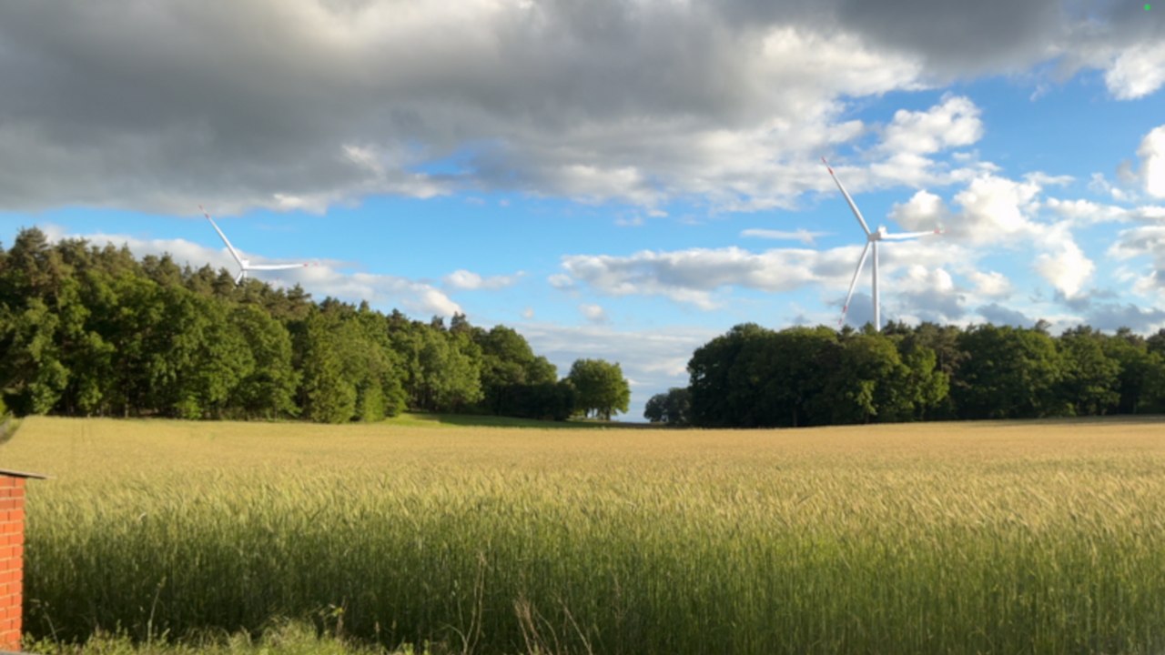 Feld mit hohem Gras, Wald und zwei Windenergieanlagen im Hintergrund