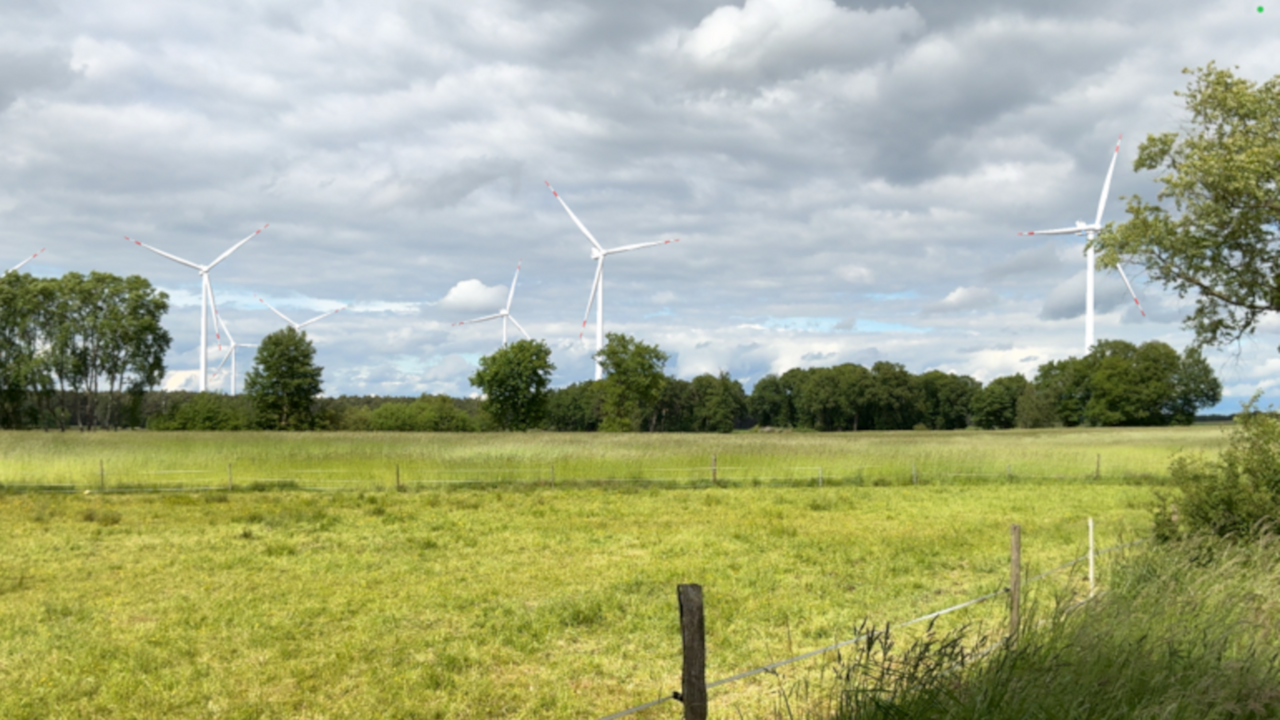 Grasfläche mit Windenergieanlagen im Hintergrund
