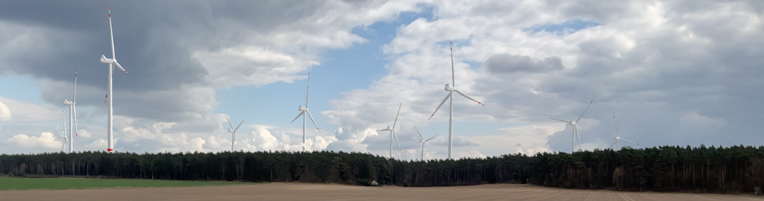 Gepflügter Acker im Vordergrund. Im Hintergrund ein Nadelwald mit Windenergieanlagen. 