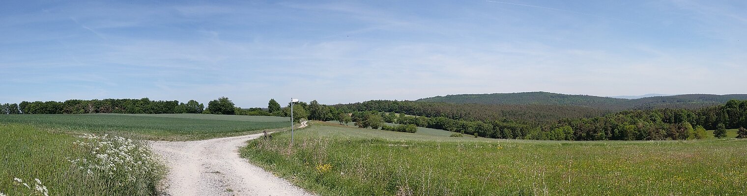 Hosenfeld