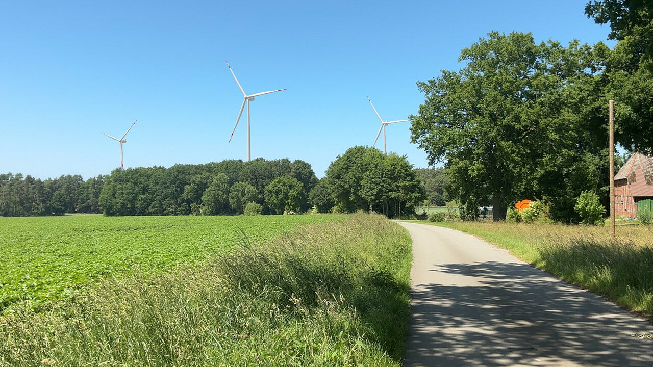 Landwirtschaftlicher Weg mit Feld links und drei Windenergieanlagen hinter einem Wald.
