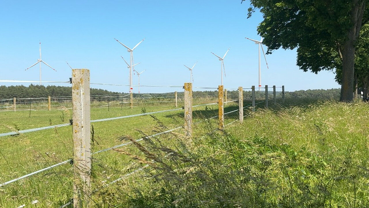 Eingezäunte Koppel mit Windenergieanlagen im Horizont