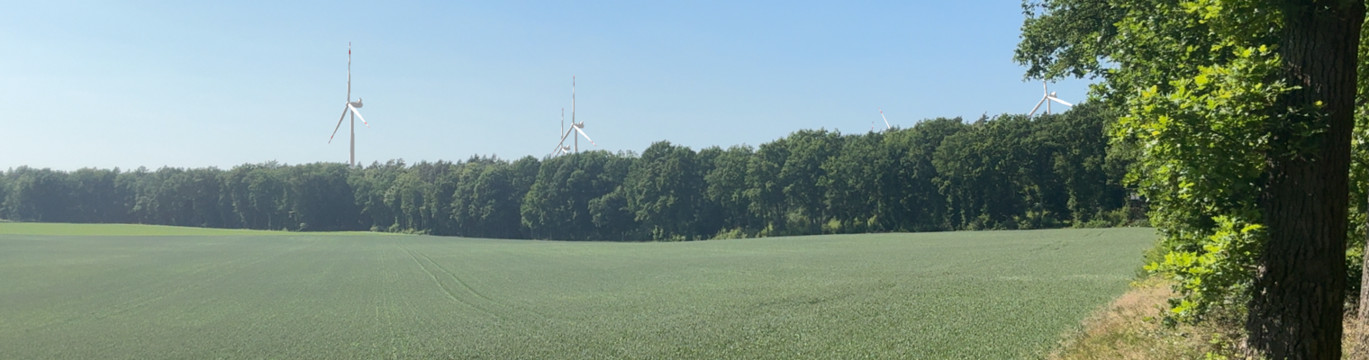 Waldrand mit Blick auf ein Feld und Windenergieanlagen im Wald am Horizont.