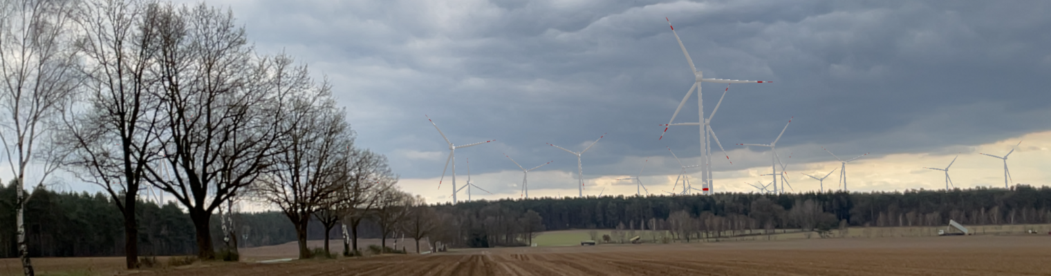 Gepflügter Acker im Vordergrund. Im Hintergrund ein Nadelwald mit Windenergieanlagen. 