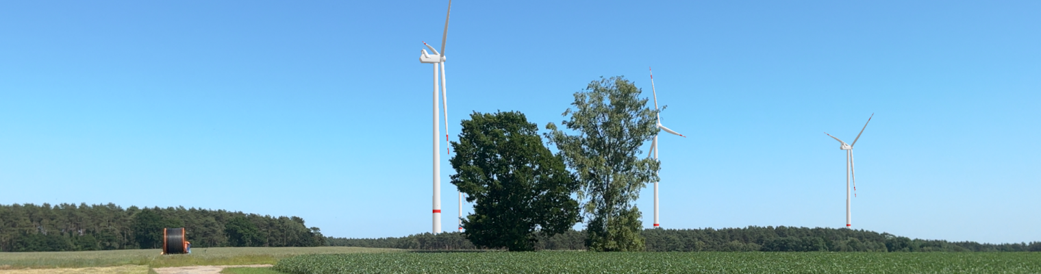 Feldweg zweigt nach rechts ab. Am Horizont sind Windräder zu sehen.