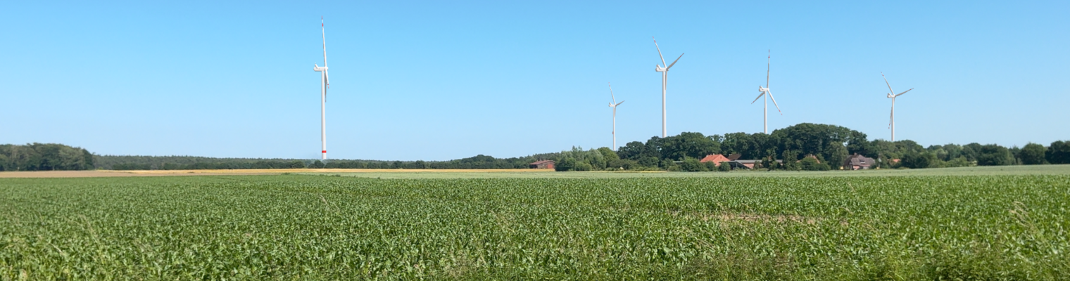 Ein großes grünes Feld im Vordergrund. Im Hintergrund eine Siedlung mit Windenergieanlagen am Horizont.