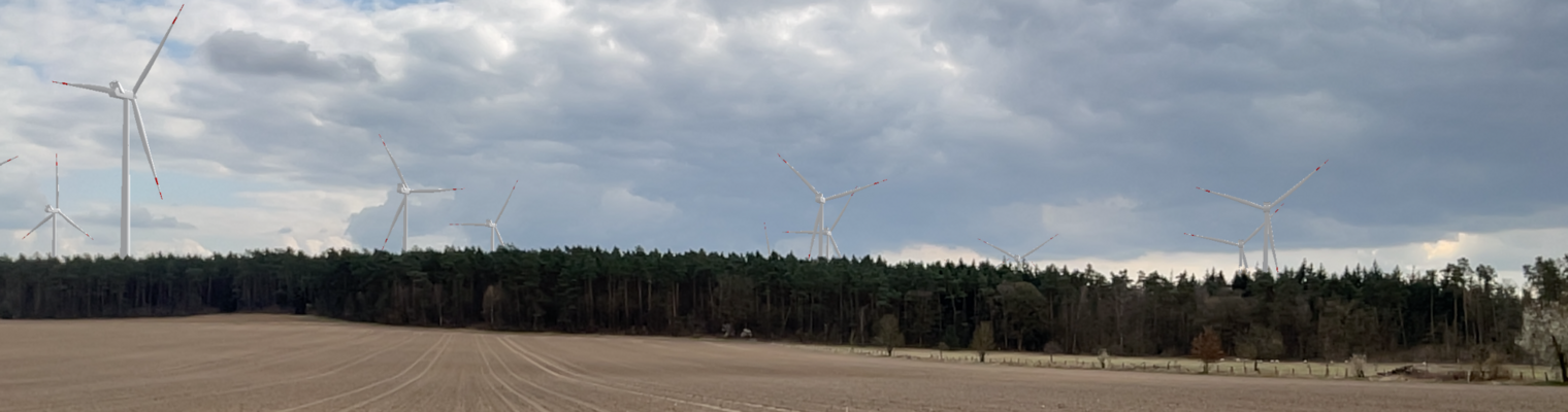 Gepflügter Acker im Vordergrund. Im Hintergrund ein Nadelwald mit Windenergieanlagen. 