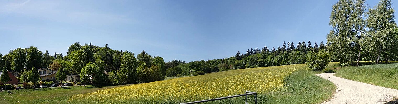 Anischt auf blühende Wiese und Waldgebiet Gemarkung Oberrode mit Windenergie-Anlagen.